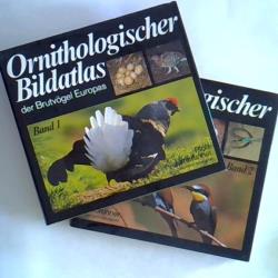 ohne Bild