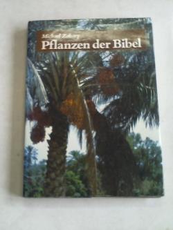 ohne Bild