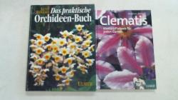 ohne Bild